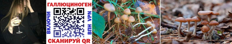 Псилоцибиновые грибы Magic Shrooms  Темрюк 