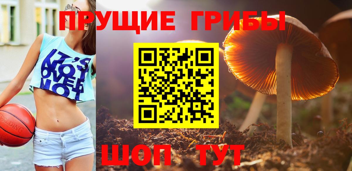 Псилоцибиновые грибы Psilocybine cubensis  Вход с VPN  Темрюк  Галлюциногенные грибы Magic Shrooms 